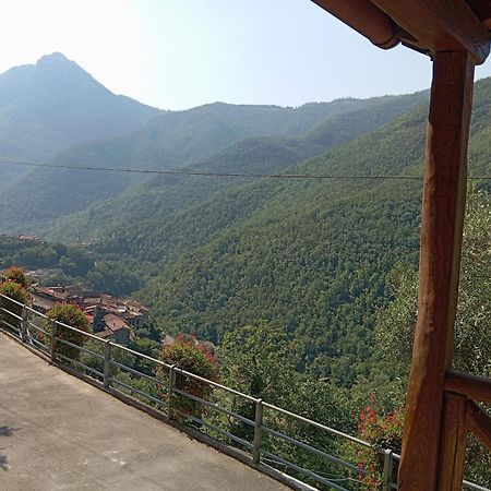 Agriturismo U' Spigu Nonna Annetta Nasino Exterior photo