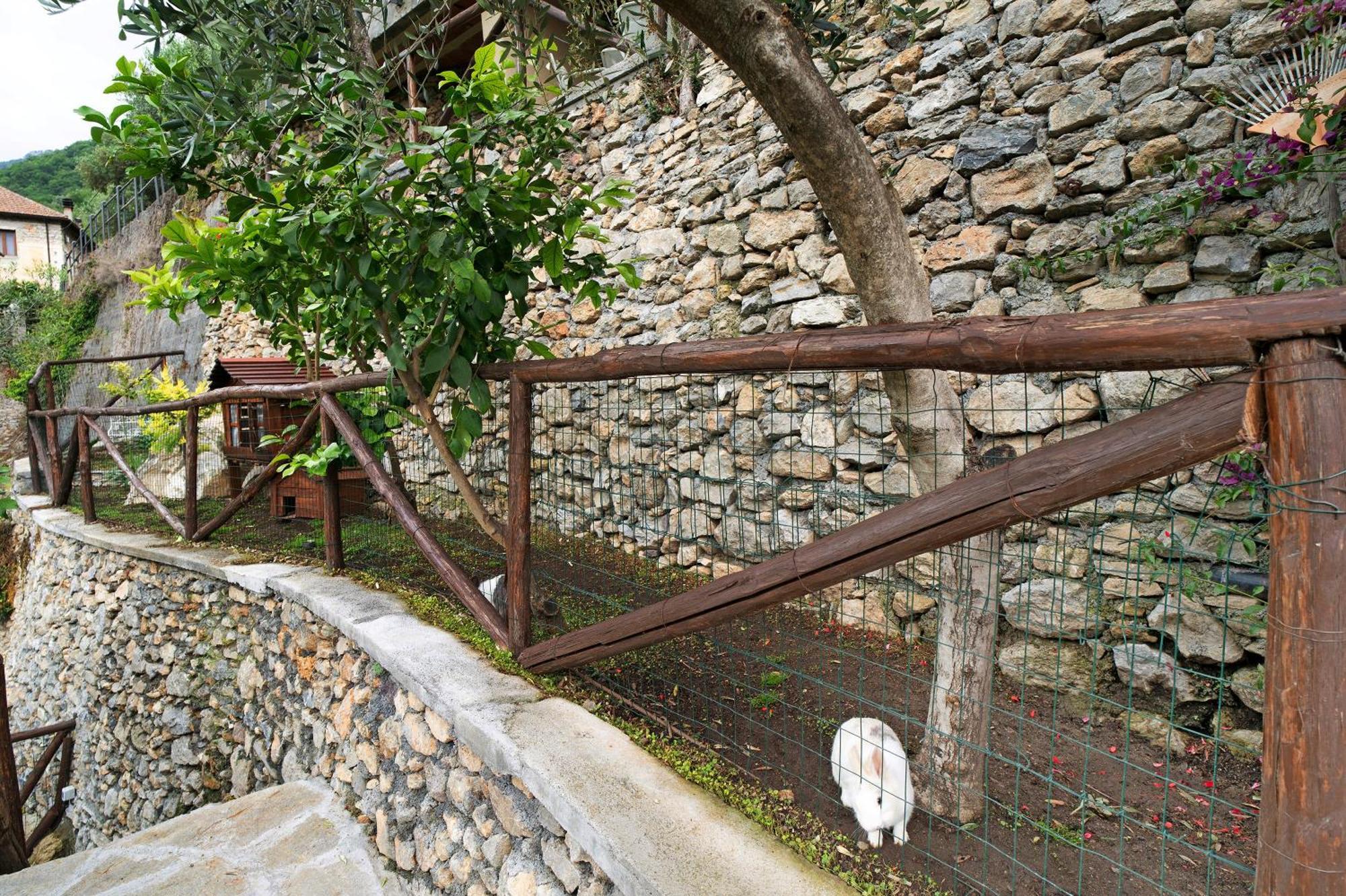 Agriturismo U' Spigu Nonna Annetta Nasino Exterior photo