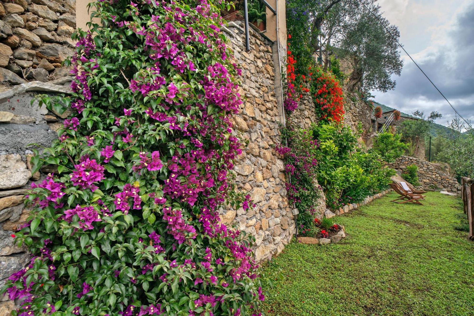 Agriturismo U' Spigu Nonna Annetta Nasino Exterior photo